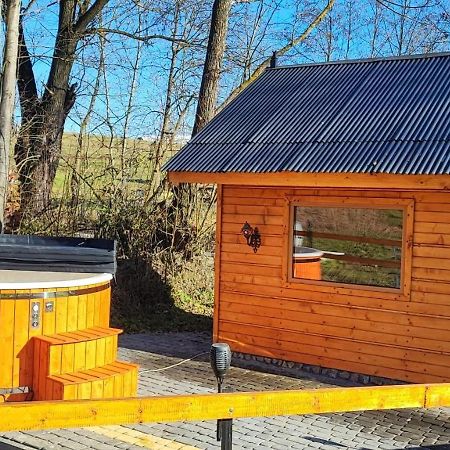 Pod Modrzewiami Villa Ciche  Luaran gambar