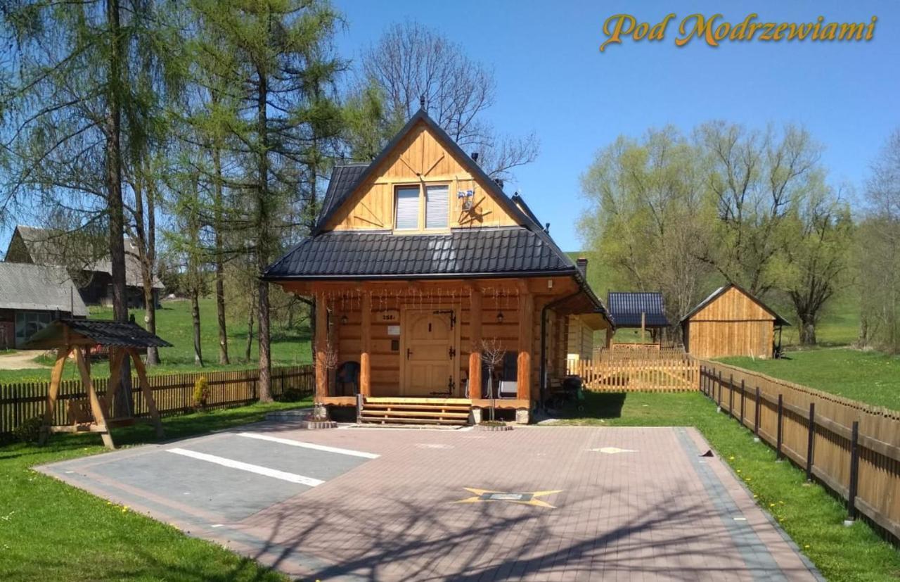 Pod Modrzewiami Villa Ciche  Luaran gambar
